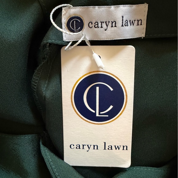 Caryn Lawn Dark Green Satin Shift Dress One Size Minimalist NWT - Picture 8 of 11